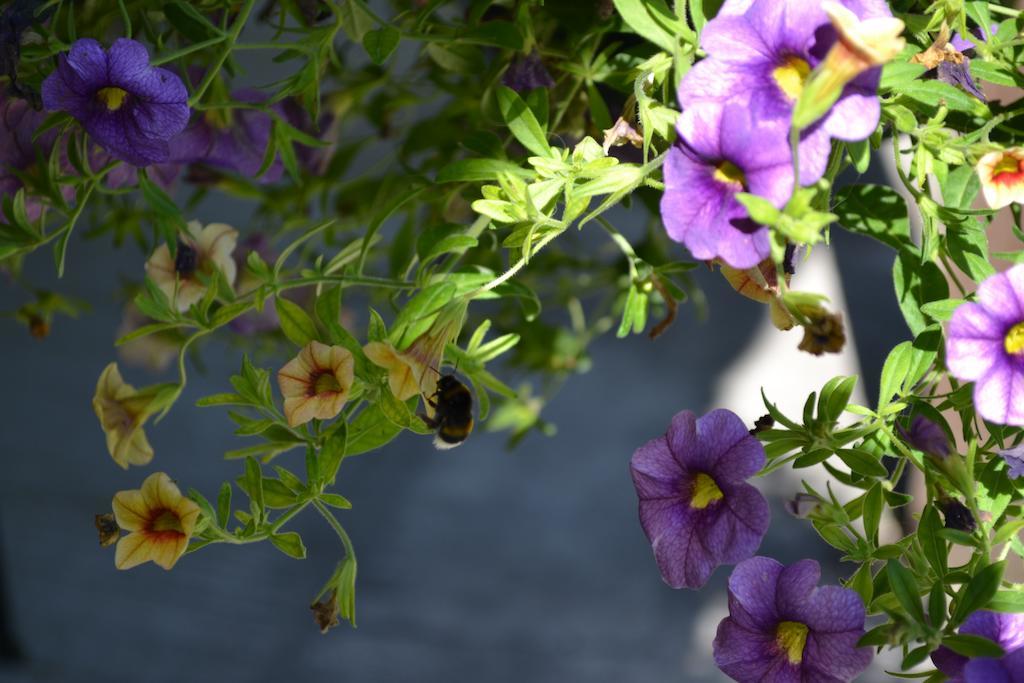 Le Moulin De Lusseau Bed & Breakfast Chef-Boutonne ภายนอก รูปภาพ