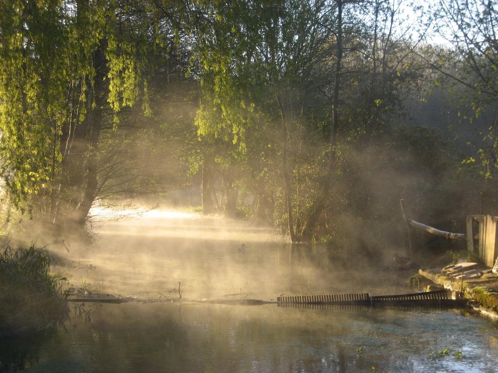 Le Moulin De Lusseau Bed & Breakfast Chef-Boutonne ภายนอก รูปภาพ