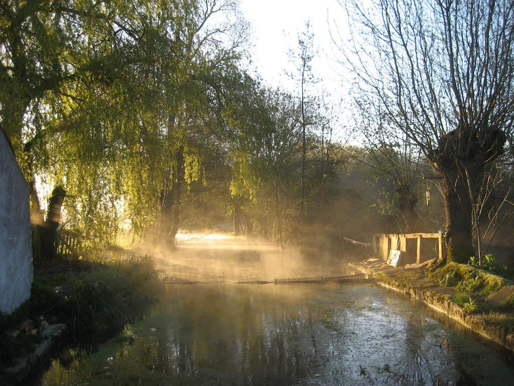 Le Moulin De Lusseau Bed & Breakfast Chef-Boutonne ภายนอก รูปภาพ