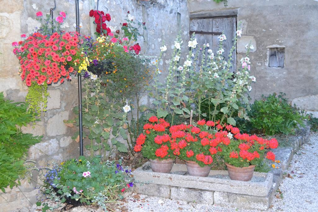 Le Moulin De Lusseau Bed & Breakfast Chef-Boutonne ภายนอก รูปภาพ